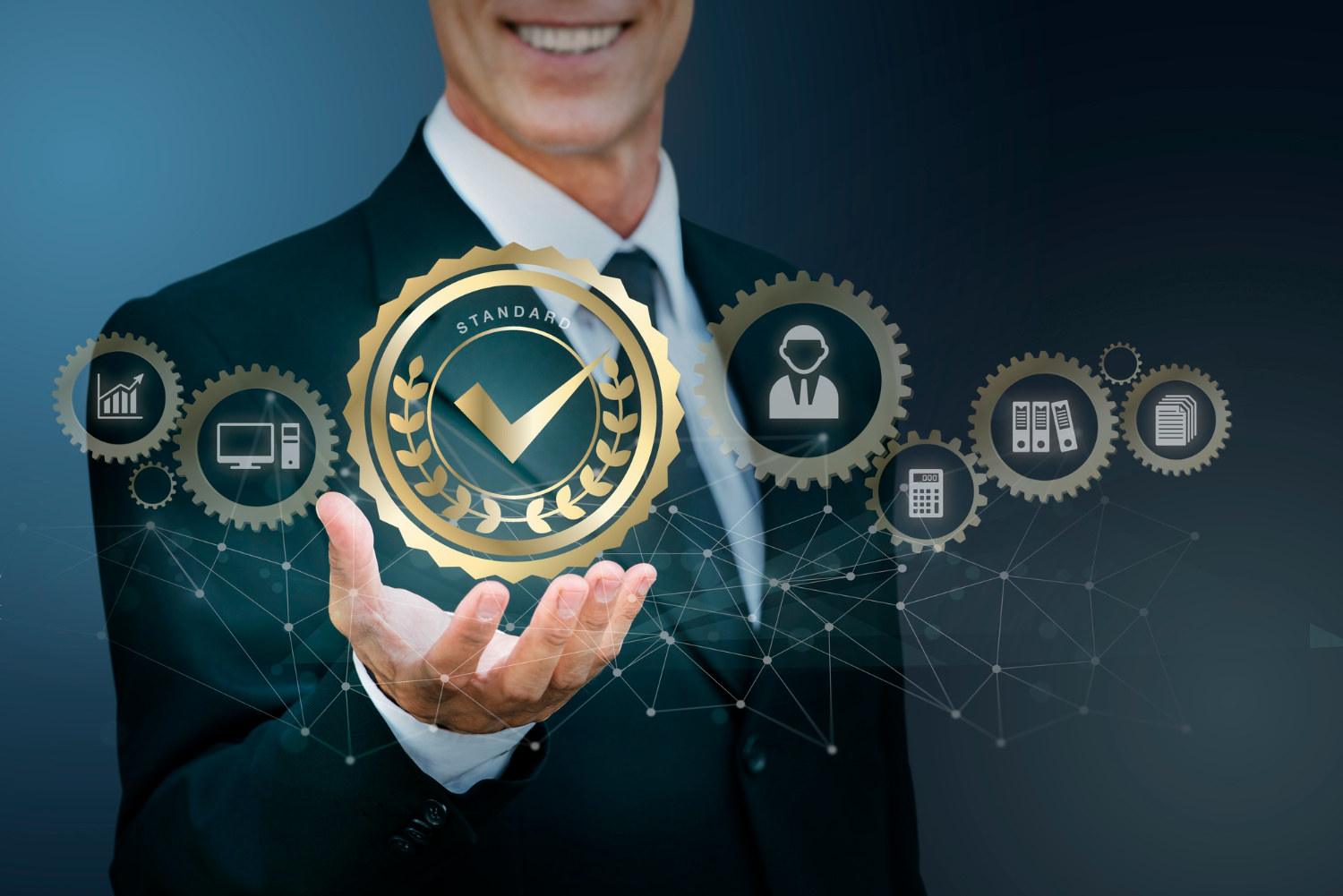 ISO 9001認証企業, 革新的ITソリューション