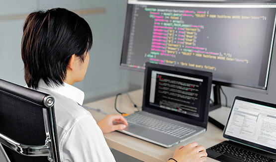 ERP and Enterprise Application Development